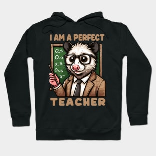 Kawaii Opossum Teacher With Glasses Hoodie